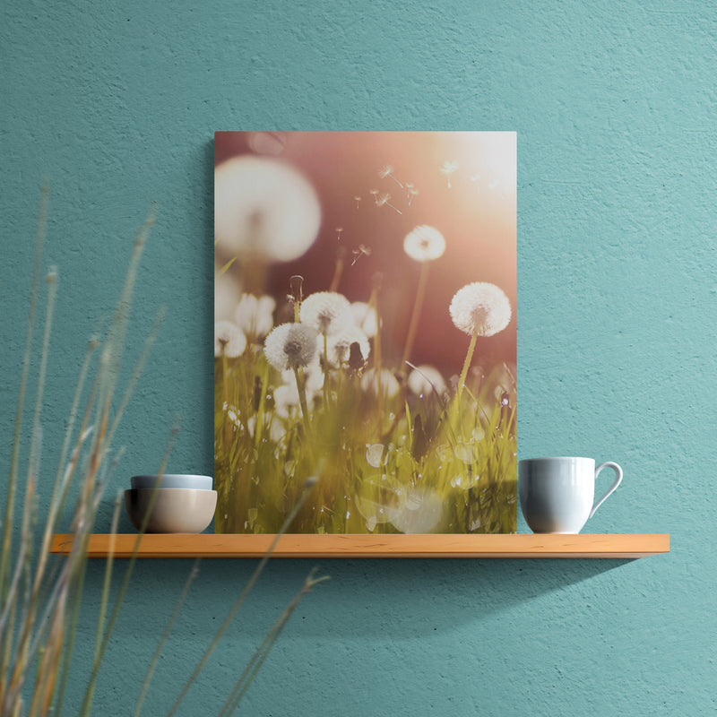 Schilderij Pluizige Paardenbloemen