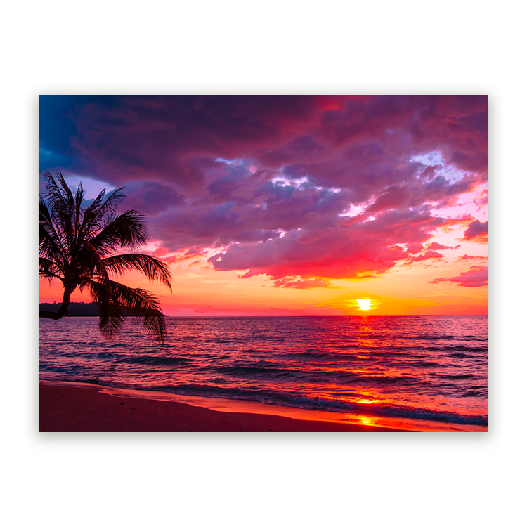 Schilderij Prachtig Tropisch Strand