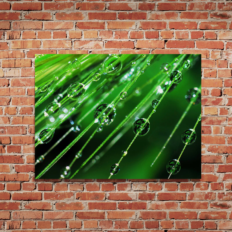 Schilderij Regendruppels op een plant