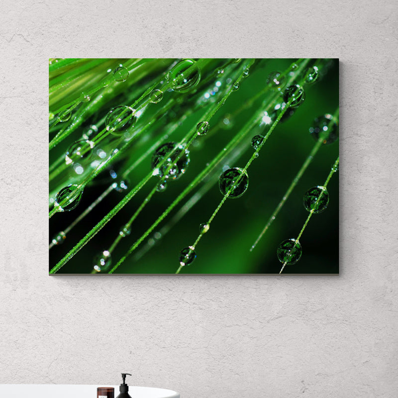 Schilderij Regendruppels op een plant