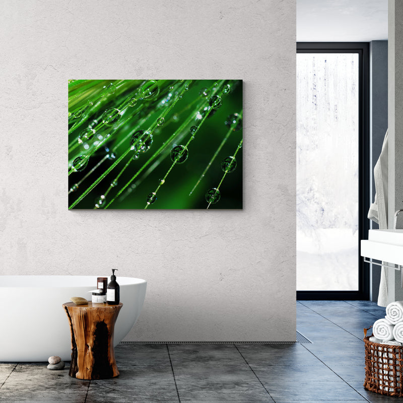 Schilderij Regendruppels op een plant