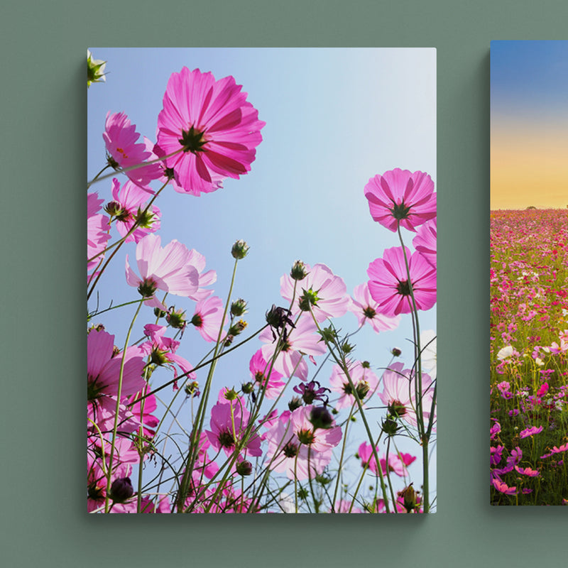 Schilderij Roze Bloemen en Blauwe Hemel