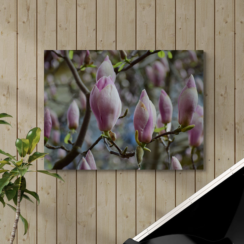 Schilderij Roze Magnolia's