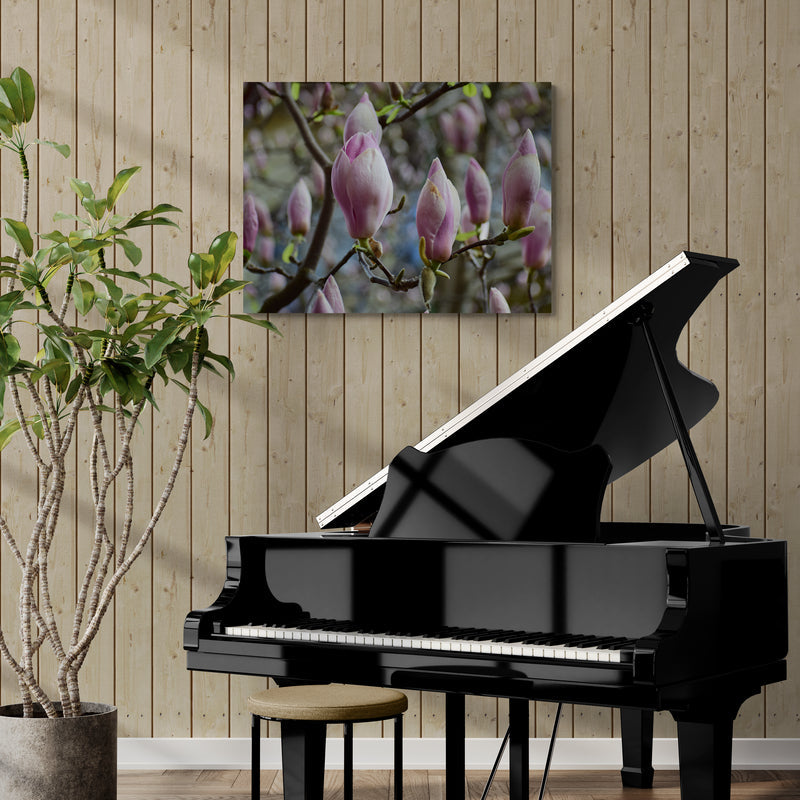 Schilderij Roze Magnolia's