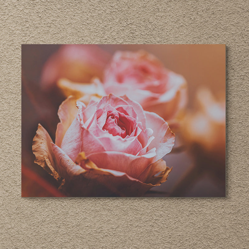 Schilderij Roze Rozen