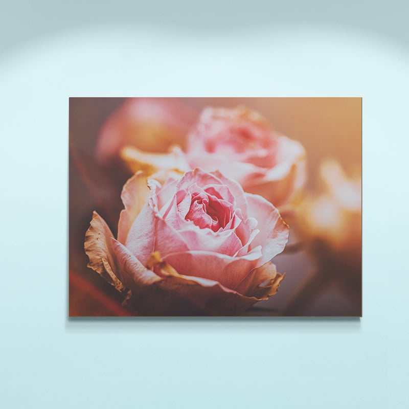 Schilderij Roze Rozen