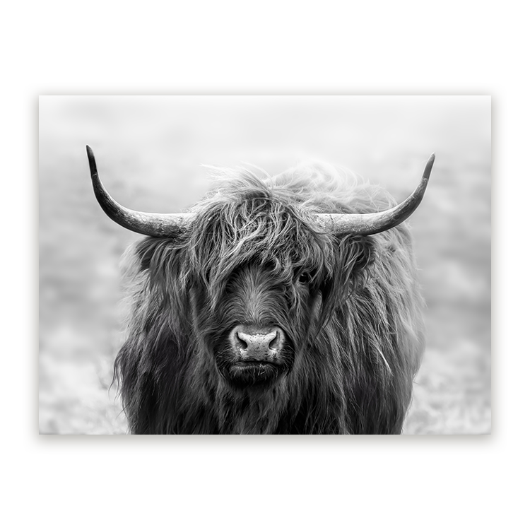Schilderij Schotse Blik