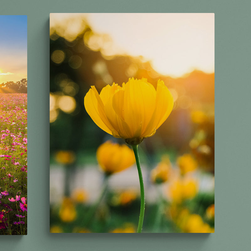 Schilderij Veld van Bloeiende Gele Bloemen