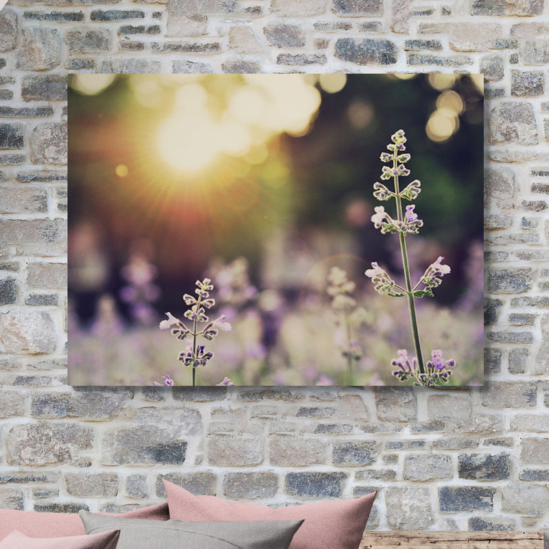 Schilderij Veld van Lavendelbloemen