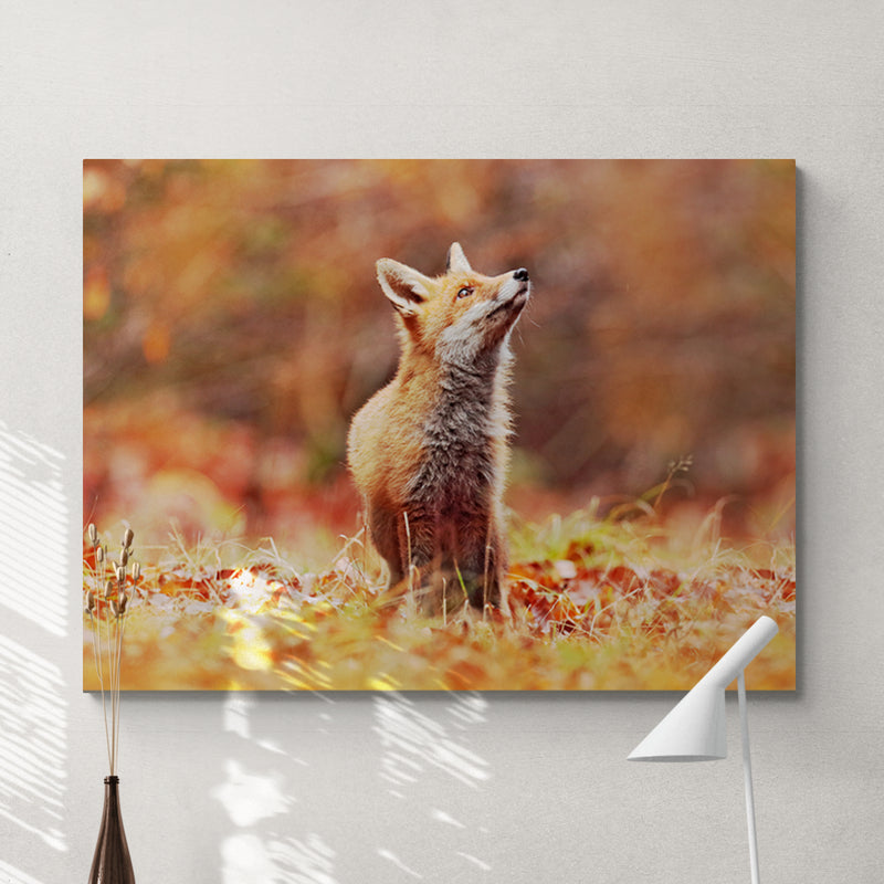 Schilderij Vos in Herfstlandschap
