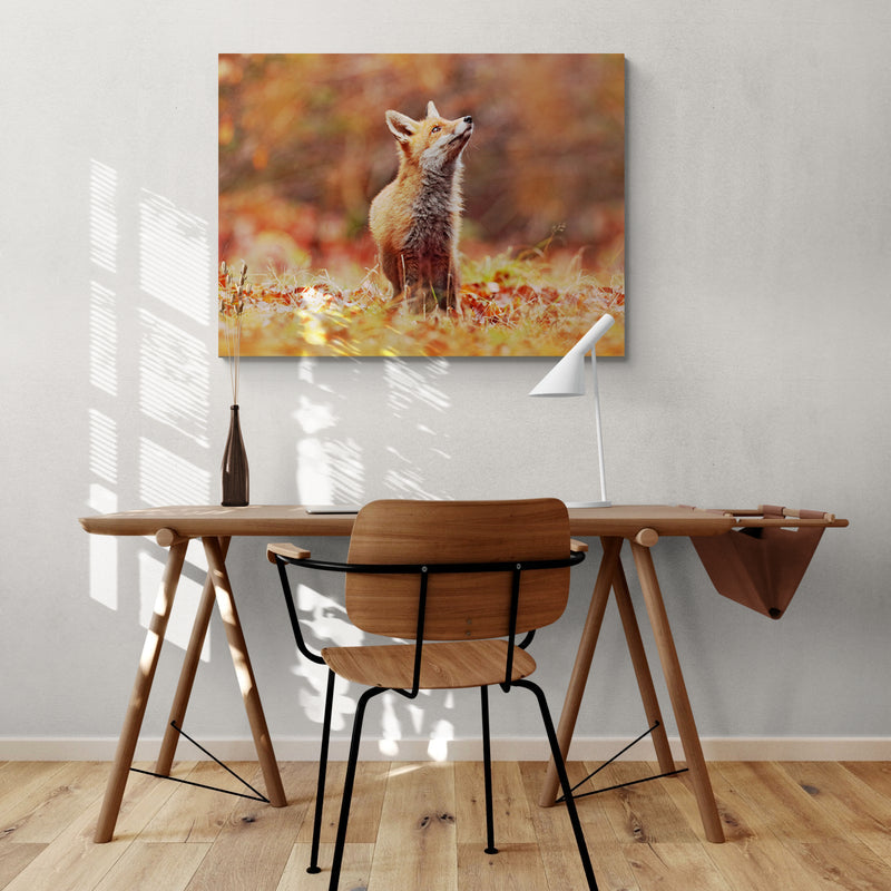 Schilderij Vos in Herfstlandschap