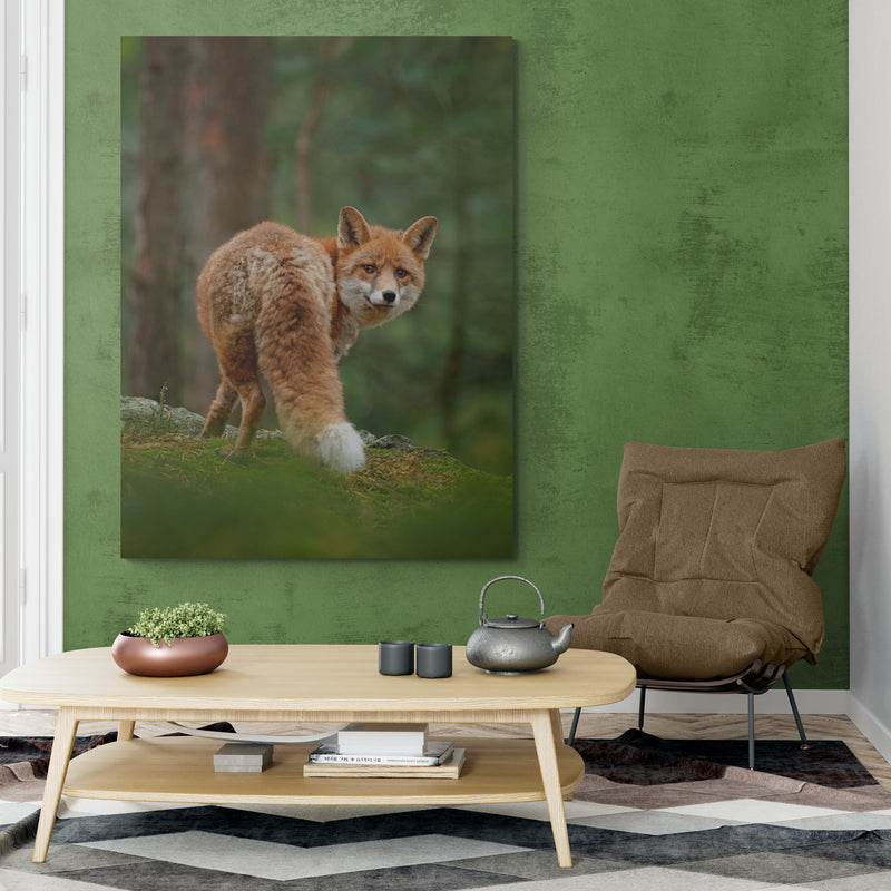 Schilderij Vos in het Groene Bos