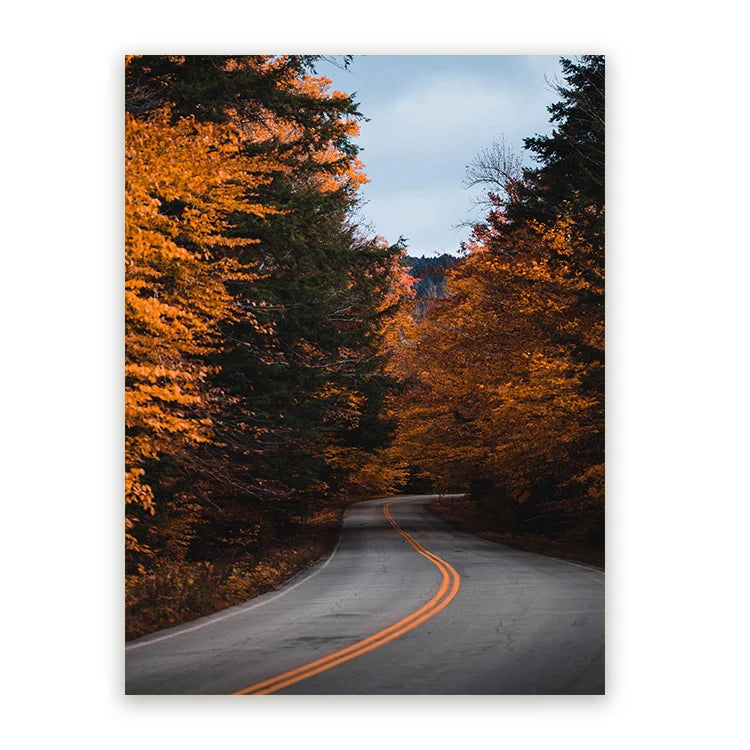 Schilderij Wanderlust Herfstweg