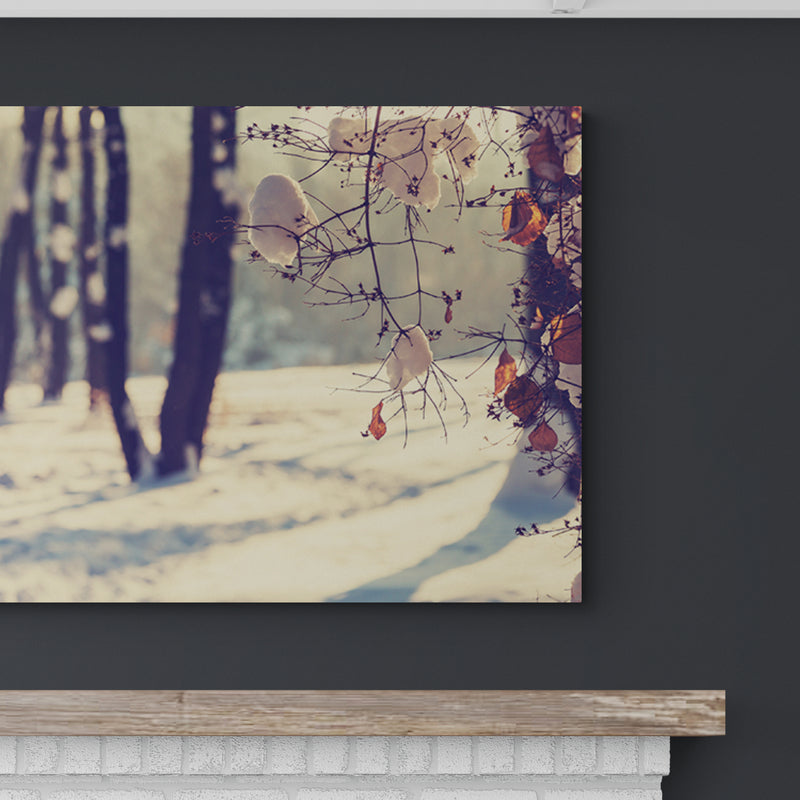 Schilderij Winters Spel van Licht en Schaduw