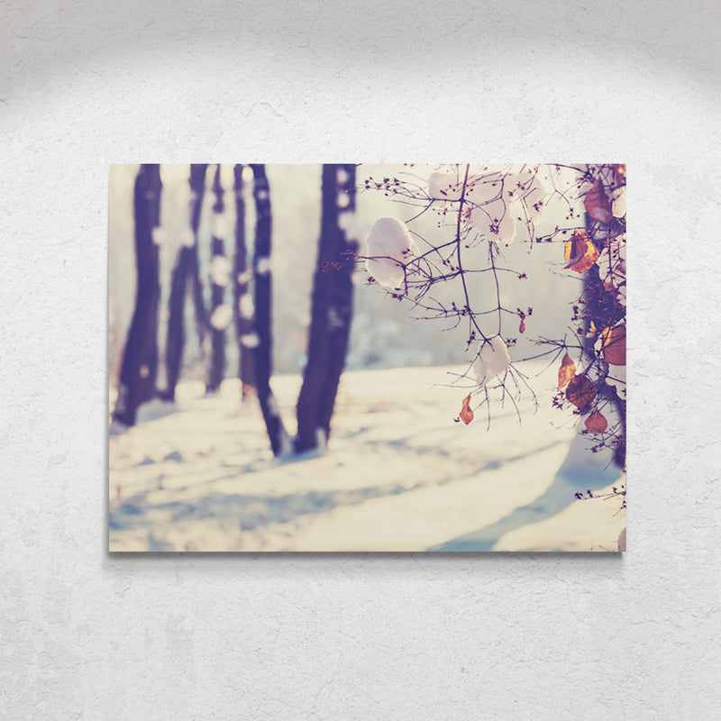 Schilderij Winters Spel van Licht en Schaduw