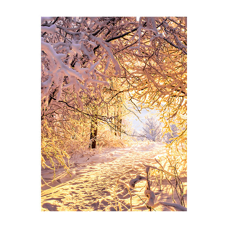 Schilderij Winterse Betovering
