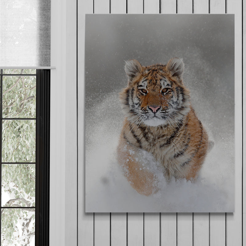 Schilderij Winterse Tijger