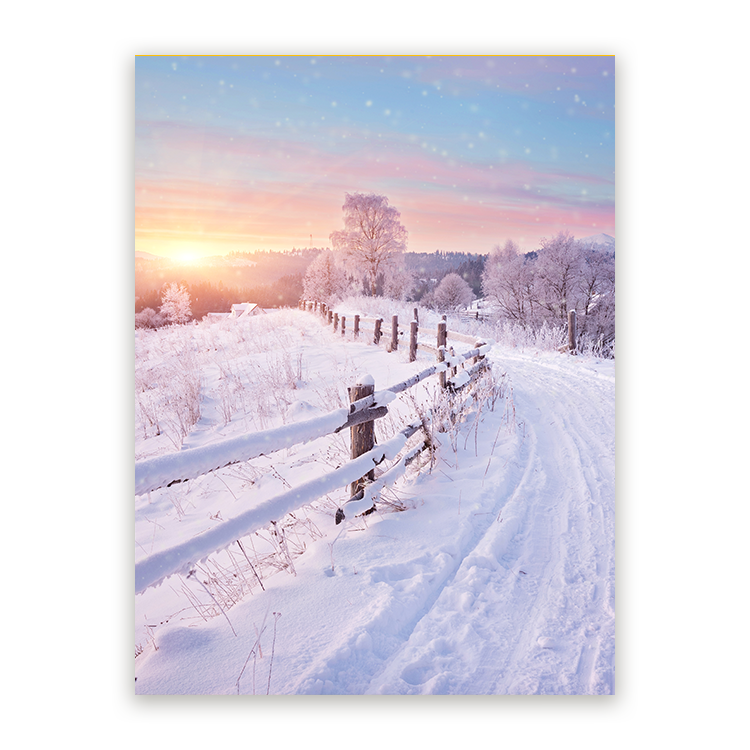 Schilderij Winterweg