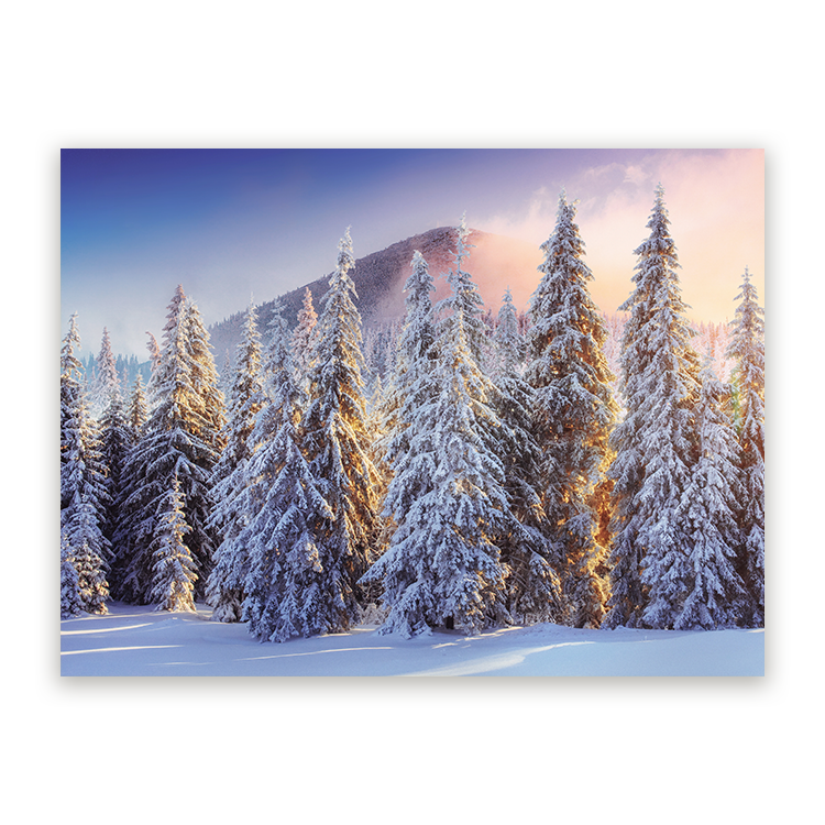Schilderij Winterwoud