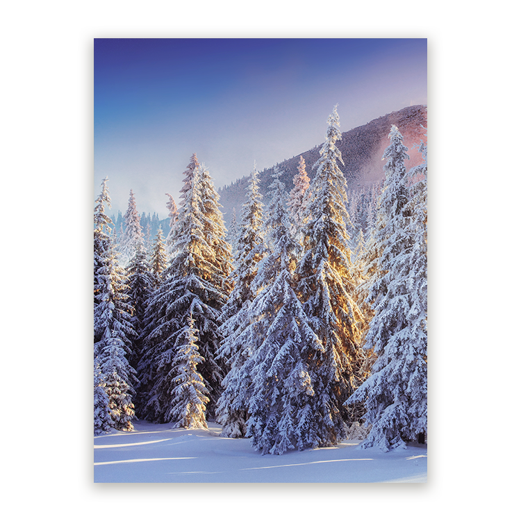 Schilderij Winterwoud