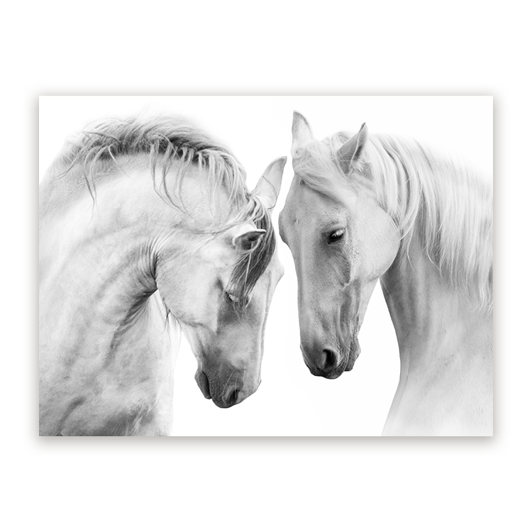 Schilderij Witte Paarden