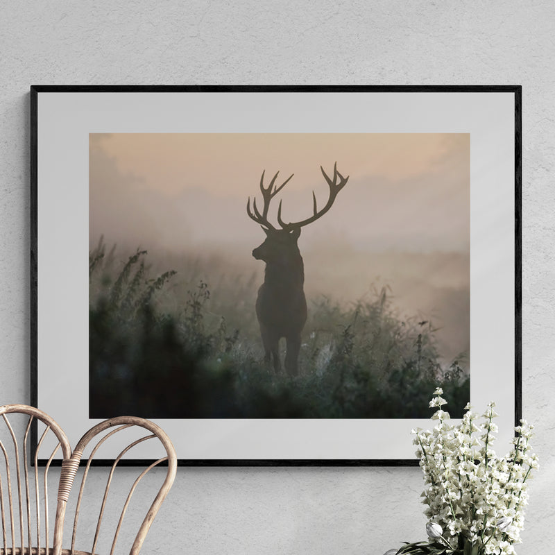 Poster in Lijst Hert in de Ochtendmist