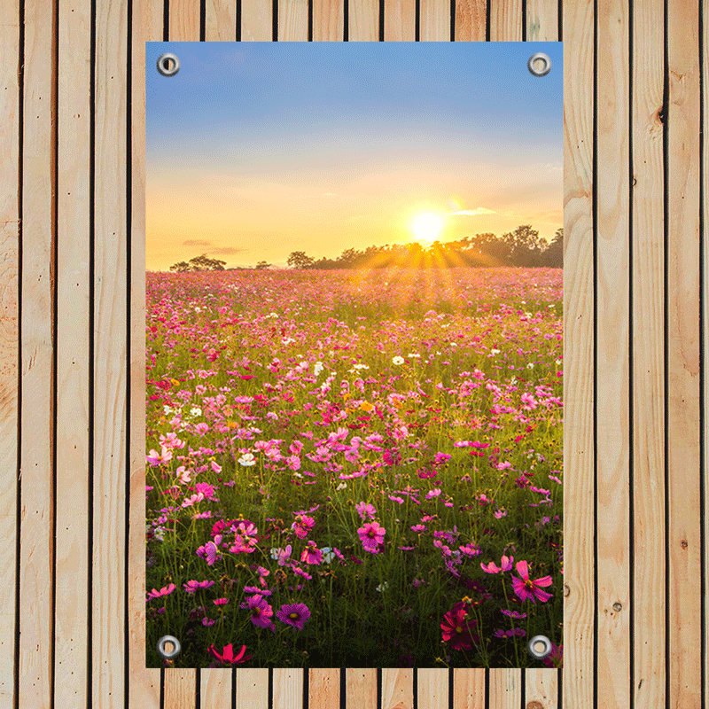 Tuinposter Betoverend Bloemenveld bij Zonsondergang