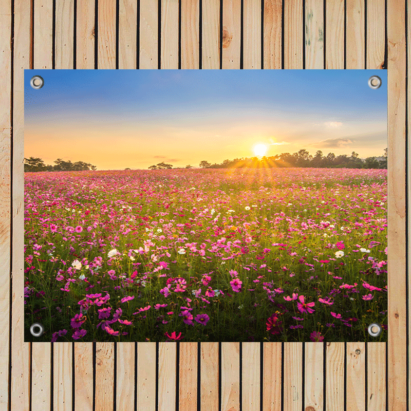 Tuinposter Betoverend Bloemenveld bij Zonsondergang