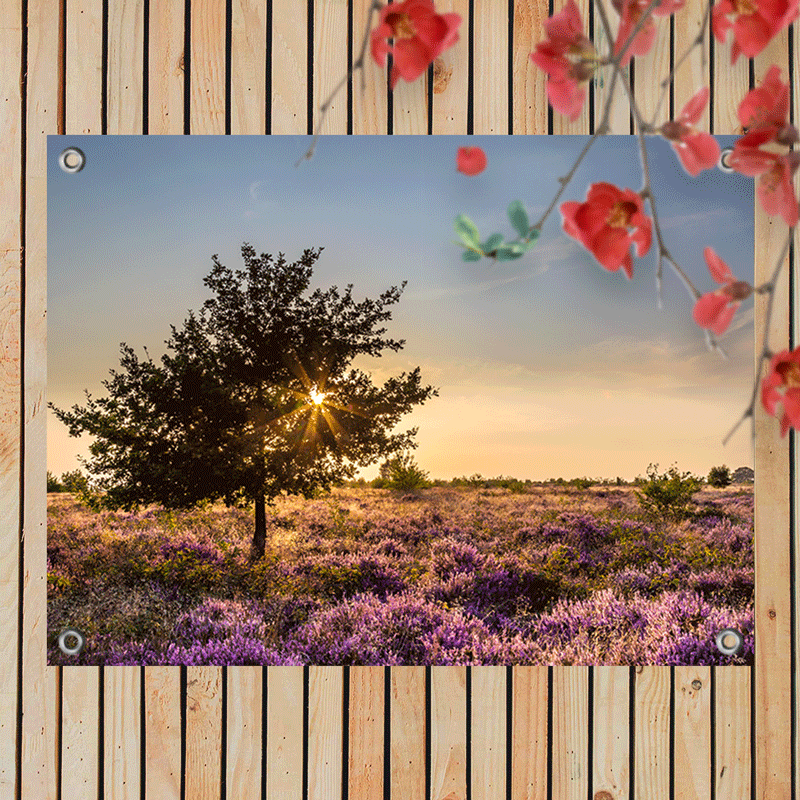 Tuinposter Heidelandschap