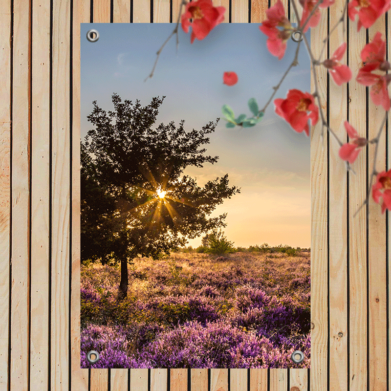 Tuinposter Heidelandschap