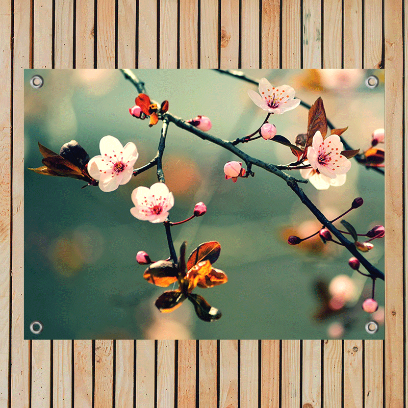 Tuinposter Japanse Kersenbloem Sakura