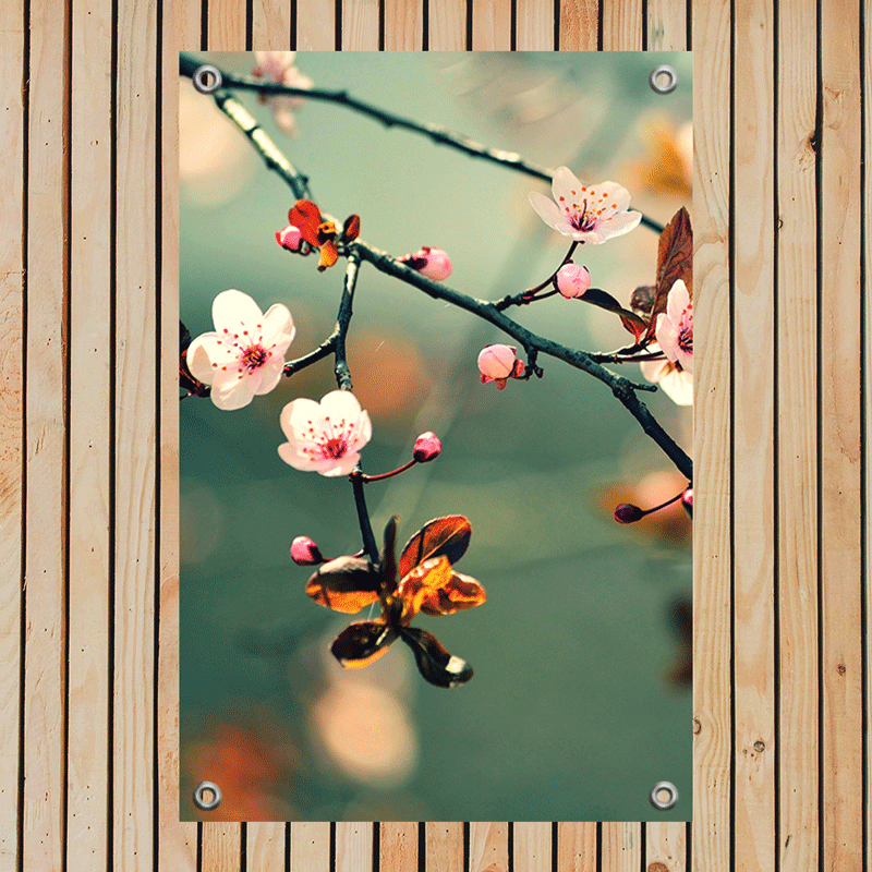 Tuinposter Japanse Kersenbloem Sakura