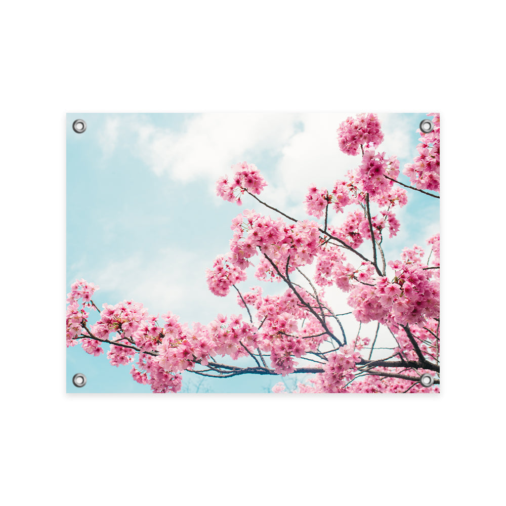 Tuinposter Kersenbloem in de Lente