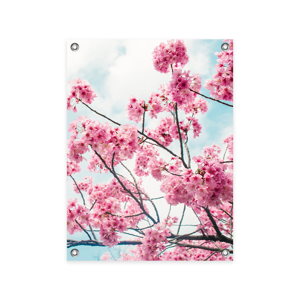 Tuinposter Kersenbloem in de Lente