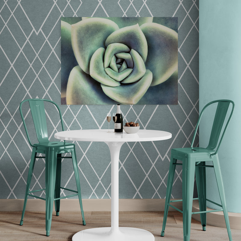 Schilderij Vetplant van Bovenaf