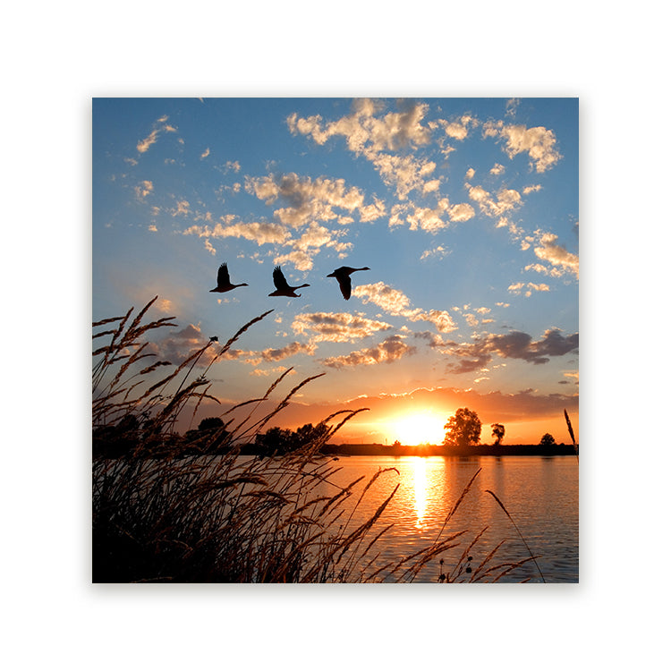 Schilderij Ganzen bij Zonsondergang