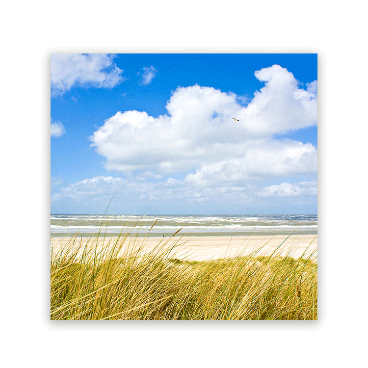 Schilderij Zomerbries aan de Noordzee