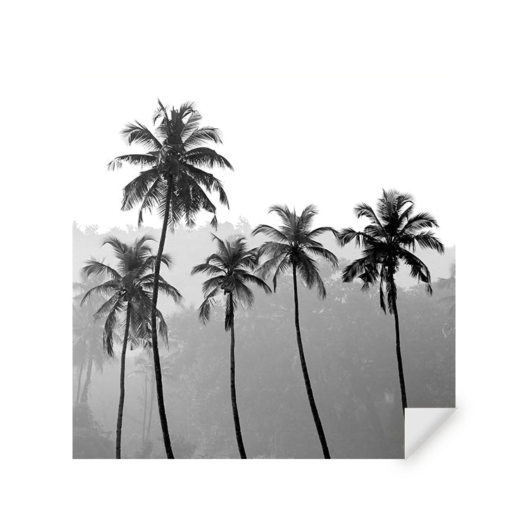 Muursticker - Palmbomen - Zwart Wit
