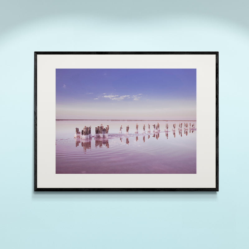 Poster in lijst Roze Zoutmeer Panorama