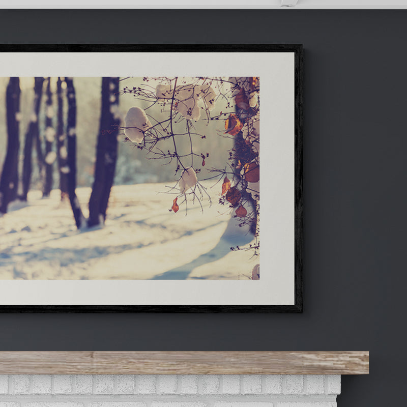 Poster in Lijst Winters Spel van Licht en Schaduw