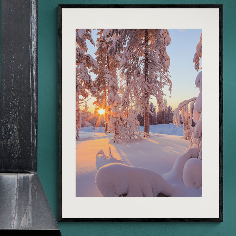 Poster in Lijst Magisch Winterbos