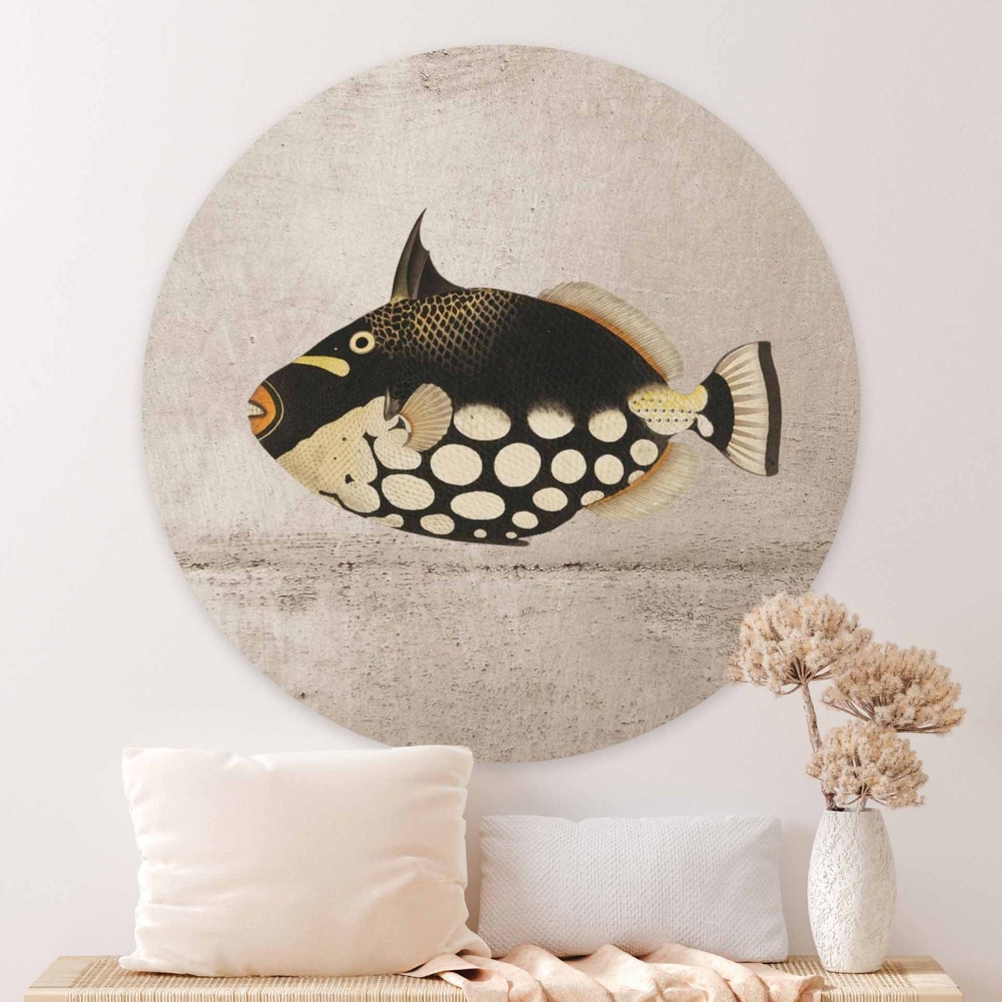 Muurcirkel Fish