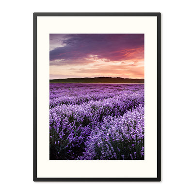 Poster in Lijst Lavendelveld tijdens Zonsondergang