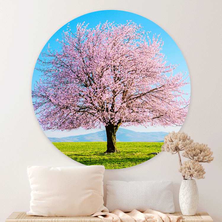 5 Inspirerende ideeën voor het stylen van je woonkamer met muurcirkels
