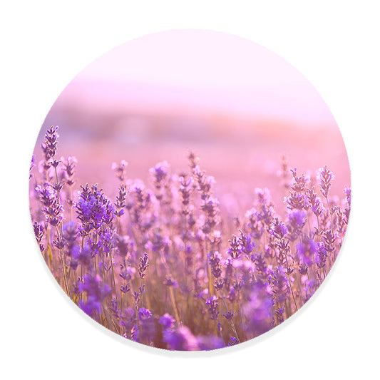 Muurcirkel Lavendel Bloemen