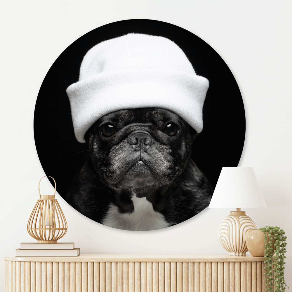 Muurcirkel Elegante Bulldog