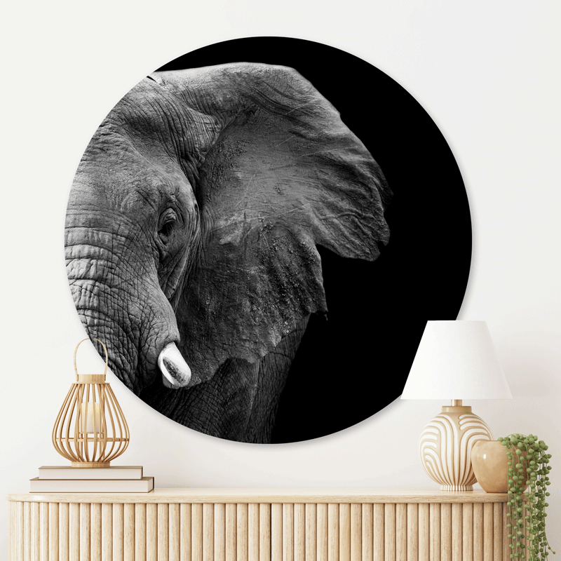 Muurcirkel Krachtige Olifant