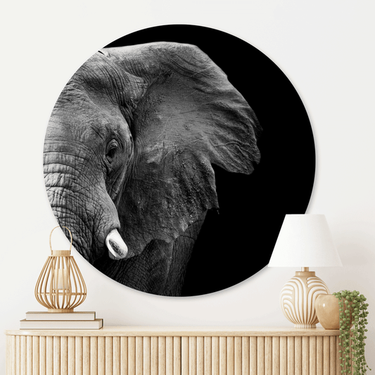 Muurcirkel Krachtige Olifant