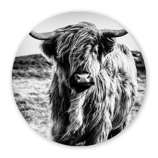 Muurcirkel Wild Highland Beauty - Zwart Wit