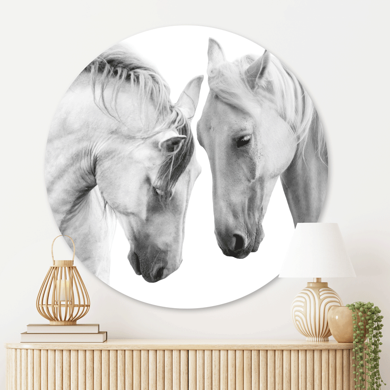 Muurcirkel Witte Paarden